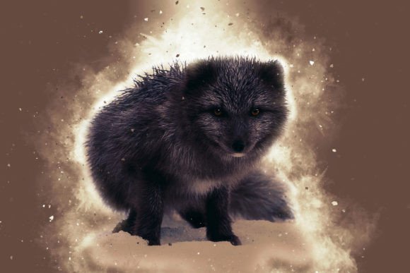 Download Printable Animal Graphics #13 - Animal Collection