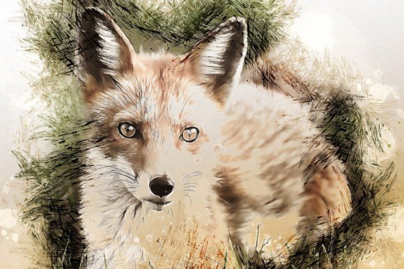Download Printable Animal Graphics #24 - Animal Collection
