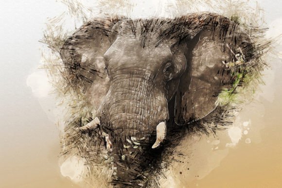 Download Printable Animal Graphics #19 - Animal Collection
