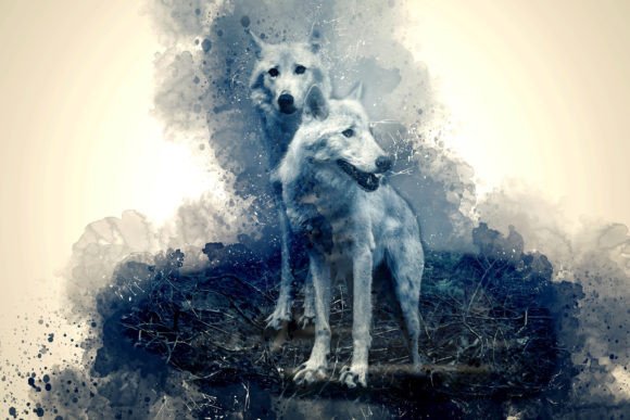 Download Printable Animal Graphics #09 - Animal Collection