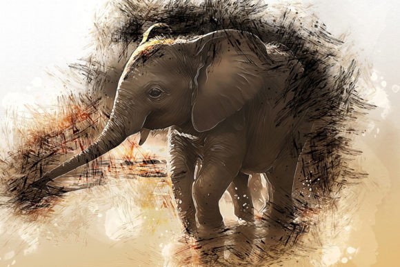 Download Printable Animal Graphics #23 - Animal Collection