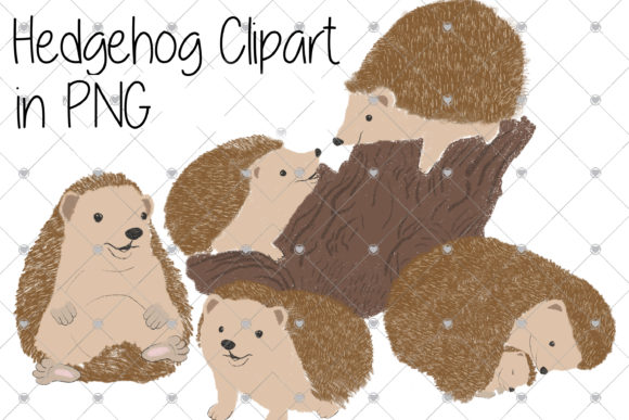 Download Hedgehogs, Hedgehog, Forrest Animals, - Animal Collection
