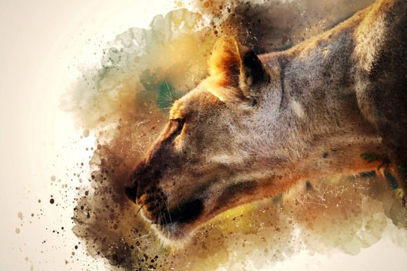 Download Printable Animal Graphics #07 - Animal Collection