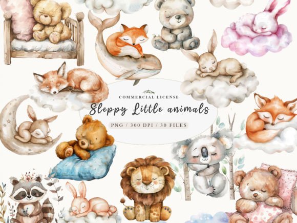 Download Sleeping Baby Animal, Sweet Dreams PNG - Animal Collection