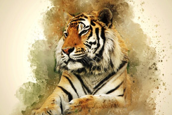 Download Printable Animal Graphics #11 - Animal Collection