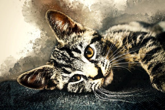 Download Printable Animal Graphics #08 - Animal Collection