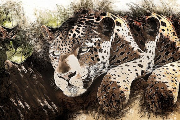 Download Printable Animal Graphics #27 - Animal Collection
