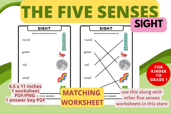 Download Sense of Sight Matching Worksheet (K-1) - Match Collection