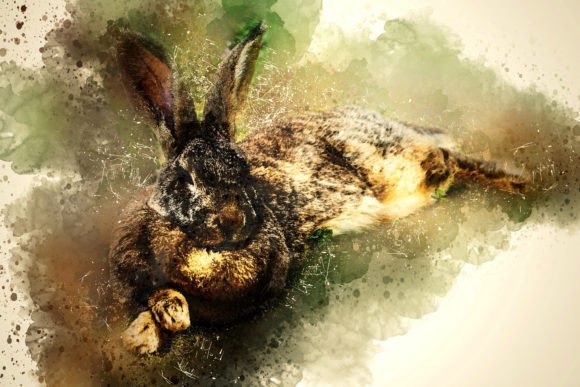 Download Printable Animal Graphics #12 - Animal Collection