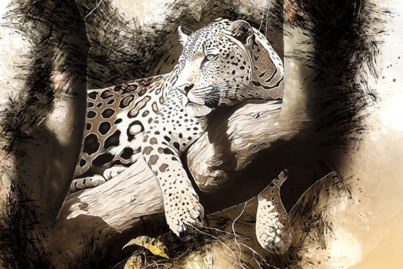 Download Printable Animal Graphics #26 - Animal Collection